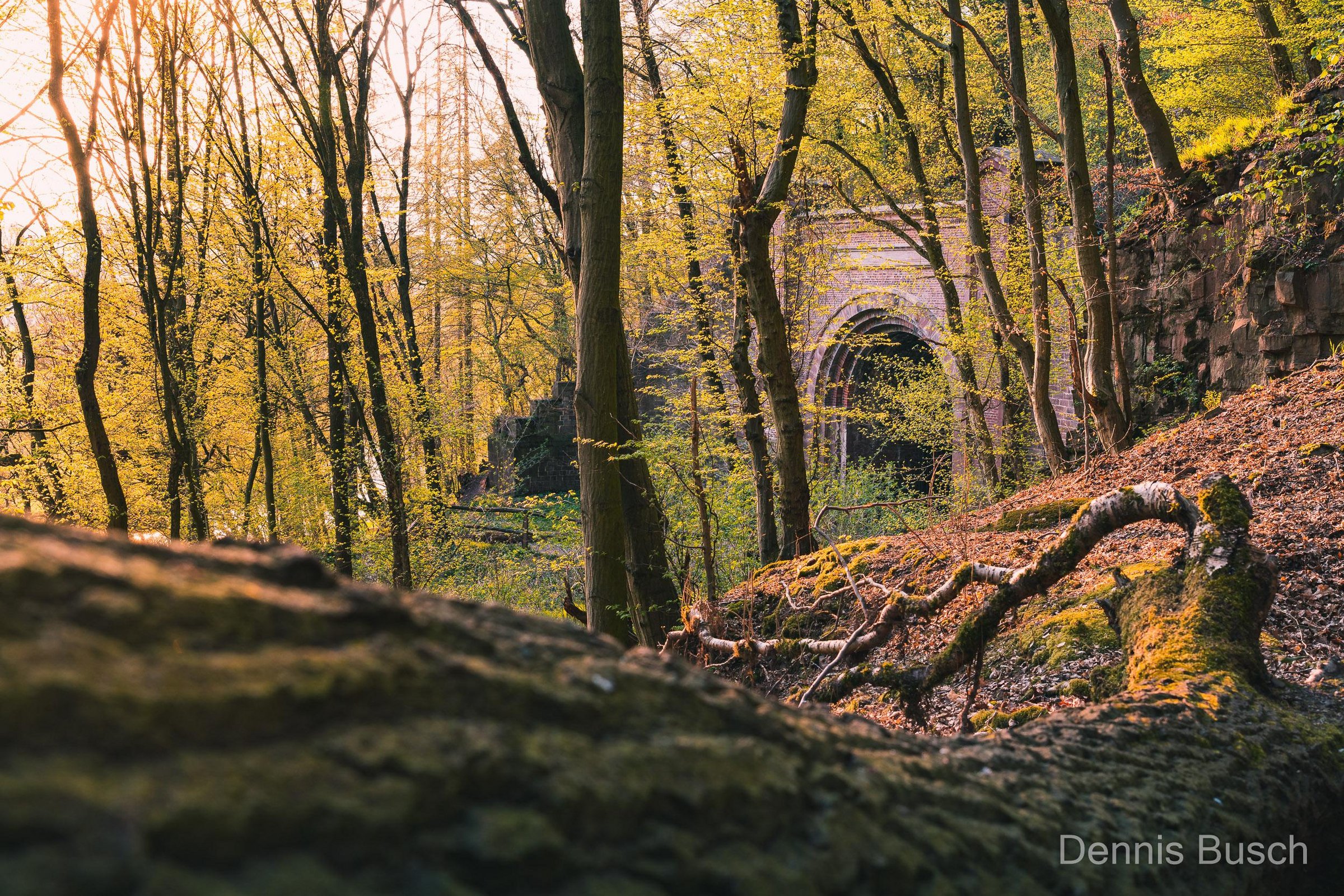 Deiseler Tunnel